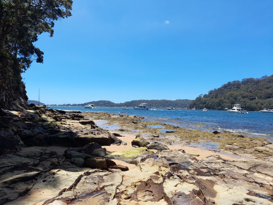 Where to kayak near Sydney